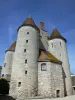 Nemours - Las torres de la Ronda del castillo medieval (Castillo Museo)