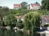 Nemours - Río Loing, casas y árboles a la orilla del agua