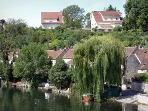 Nemours - Rivière Loing, maisons et arbres au bord de l'eau
