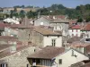 Nérac - Toits de maisons de la cité médiévale