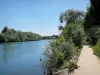 Neuilly-sur-Marne - Promenade au bord de la rivière Marne