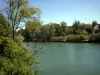 Neuilly-sur-Marne - Arbres au bord de l'eau