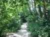 Neuilly-sur-Marne - Caminho arborizado