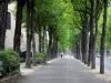 Neuilly op Seine - Met bomen omzoomde stoep