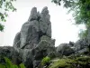 Neuntelstein - Top of the Rock en bomen in de regen