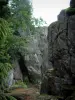 Neuntelstein - Arbres et gros rochers