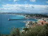 Nice - Vue sur les oliviers, puis sur Nice, son port et son bord de mer en arrière-plan