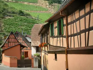Niedermorschwihr - Hill covered by vineyards dominating colourful half-timbered houses of the village