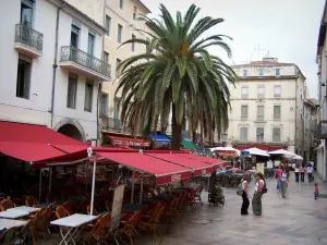 Nîmes - Marktplatz: Restaurant-Terrasse, Palme und Häuserfassaden und Gebäude