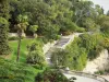 Nîmes - Jardin de la Fontaine (parc) : arbres, arbustes, palmiers et escaliers