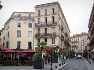 Nîmes - Gebäude, Strassencafé und Palmen in Blumenkübeln der Stadt