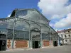 Niort - Halles de style Baltard avec nuages dans le  ciel bleu