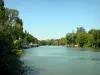 Nogent-sur-Marne - Fluss Marne gesäumt von Bäumen