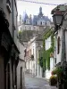 Nogent-le-Roi - Castillo con vistas a las casas de la ciudad