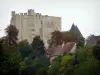 Nogent-le-Rotrou - Houd van het kasteel Saint-Jean, daken van huizen en bomen in de Perche