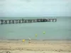 Noirmoutier island - Dames beach (sandy beach), landing stage and sea