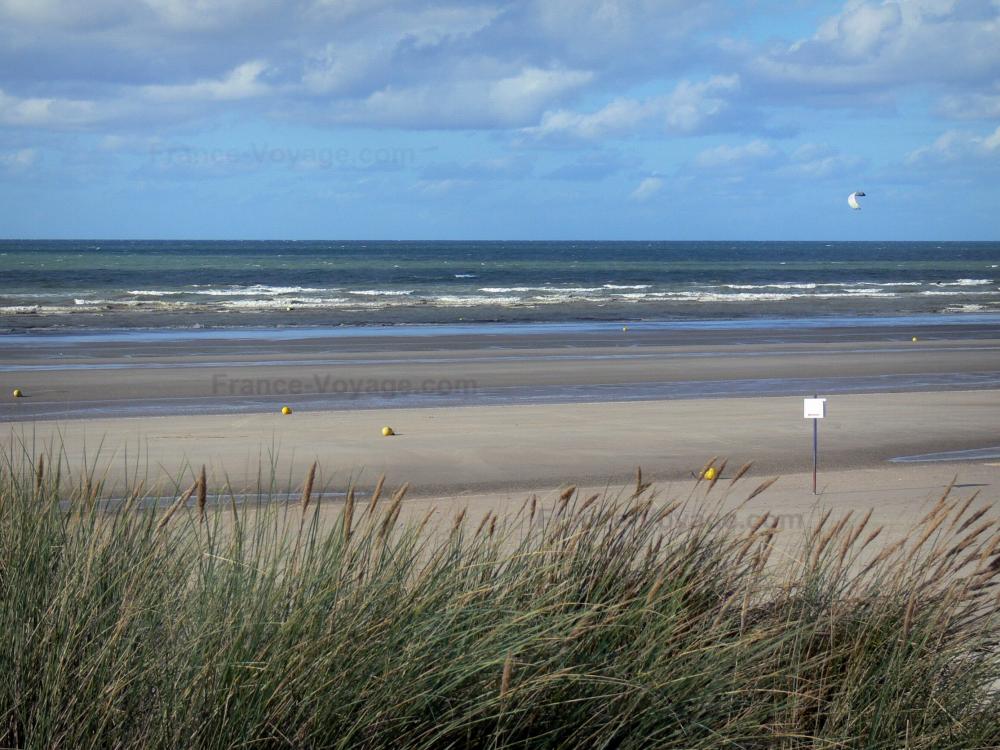 Guide du Nord - Paysages du Nord - Côte d'Opale : oyats en premier plan, plage de sable de la station balnéaire de Bray-Dunes et mer du Nord