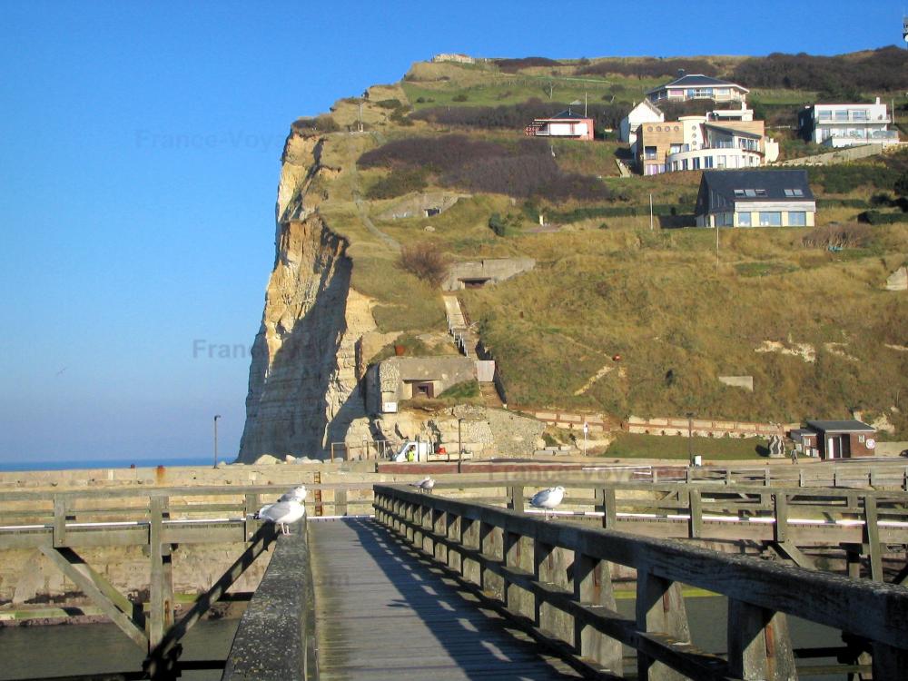 Guide de la Normandie - Fécamp - Estacade avec des mouettes (oiseaux marins), falaise et maisons perchées