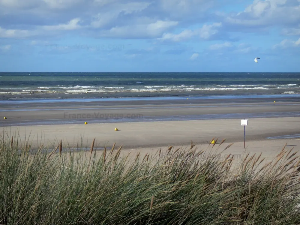 Guia do Norte - Paisagens do norte - Côte d'Opale: oyats em primeiro plano, praia arenosa da estância balnear de Bray-Dunes e Mar do Norte