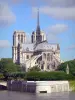 Notre-Dame de Paris cathedral - View of the apse of the cathedral and the Seine river