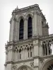 Notre-Dame de Paris cathedral - Cathedral tower