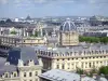 Notre-Dame de Paris cathedral - View of Paris and the dome of the Commercial Court from the heights of the cathedral