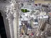 Notre-Dame de Paris cathedral - View overlooking the roofs of Paris