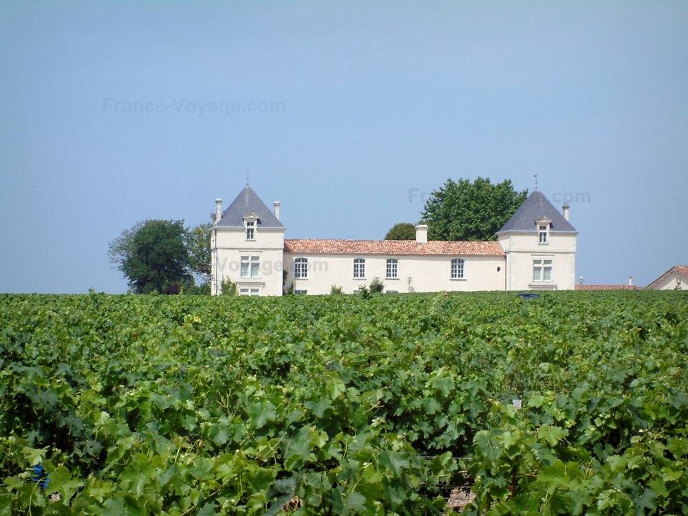 Guide de Nouvelle-Aquitaine - Paysages de la Gironde - Domaine viticole du Bordelais