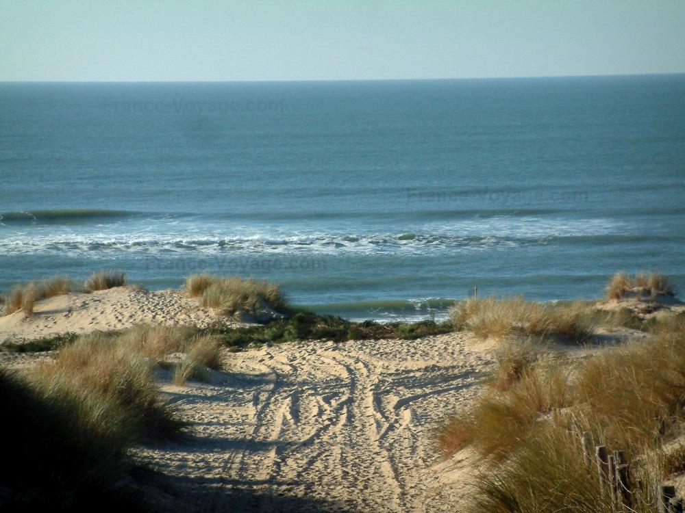 Guide de Nouvelle-Aquitaine - Paysages du littoral de Charente-Maritime - Presqu'île d'Arvert : chemin de sable, bordé d'oyats, menant à la plage de la Côte Sauvage, mer (océan Atlantique)