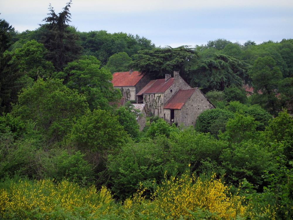 Guide de Nouvelle-Aquitaine - Paysages du Limousin - Genêts en fleurs et maisons du village de Masgot entourées d'arbres