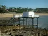 Guía de Nueva-Aquitania - Paisajes del litoral de Charente Maritimo - Las rocas, los pescadores cabaña sobre pilotes, mar, playa de arena y casas (villas) en el bosque