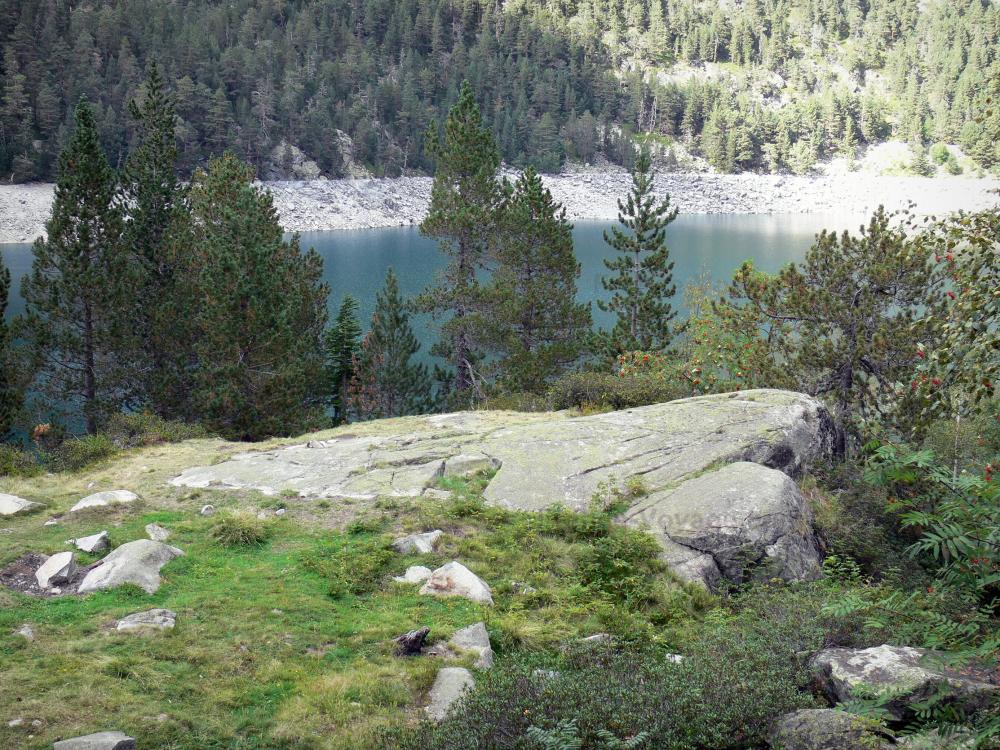 Guide d'Occitanie - Paysages des Pyrénées - Massif du Néouvielle (Réserve Naturelle du Néouvielle) : lac d'Orédon entouré d'arbres