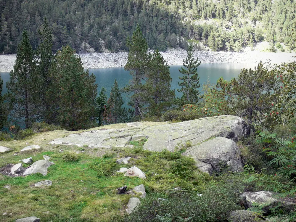 Guide d'Occitanie - Paysages des Pyrénées - Massif du Néouvielle (Réserve Naturelle du Néouvielle) : lac d'Orédon entouré d'arbres