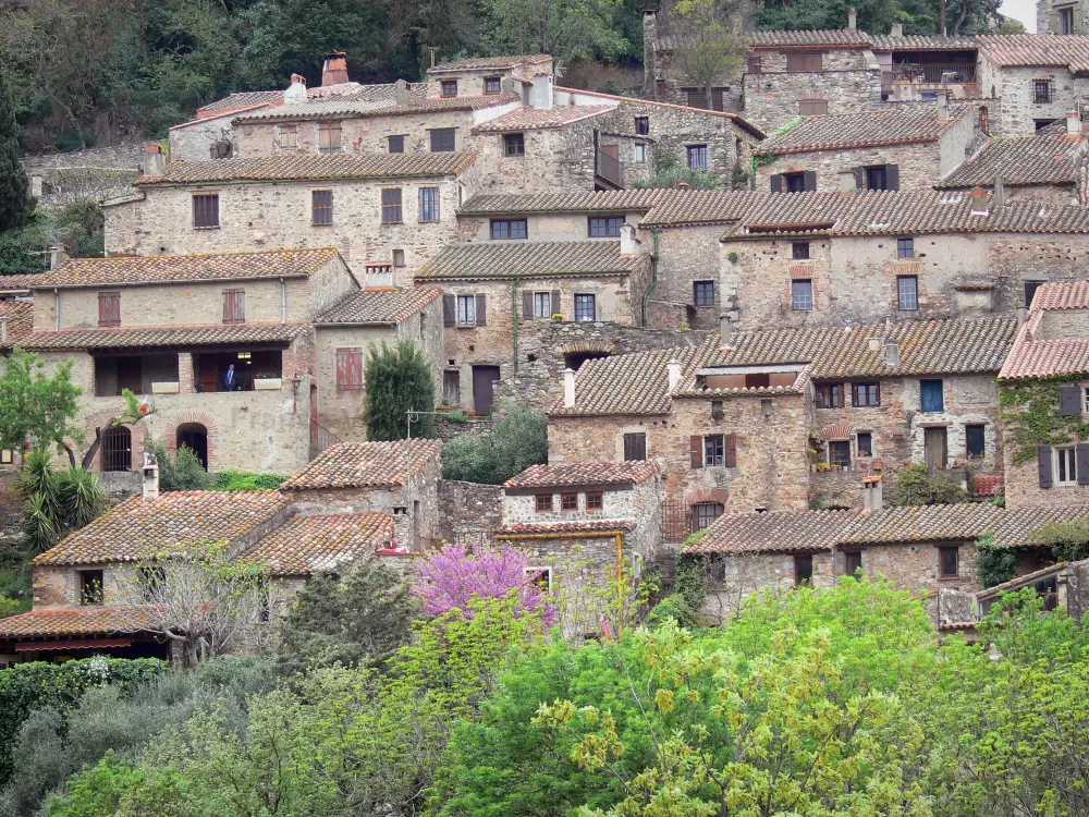 Gids van Occitanie - Castelnou - Uitzicht op de huizen van het middeleeuwse dorp
