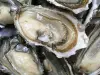 De oesters uit het bekken van Arcachon - Gids voor gastronomie, vrijetijdsbesteding & weekend in de Gironde