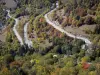 Oisans - Camino de Alpe d'Huez: sinuosa carretera bordeada de árboles en otoño los colores