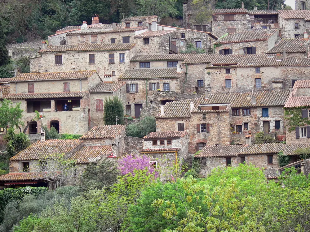 Reiseführer von der Okzitanien - Castelnou - Blick auf die Reihenhäuser des mittelalterlichen Dorfes