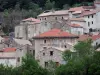 Olargues - Maisons du village et arbres