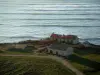 Oléron岛 - 草原，小径，破败的房屋和海洋（大西洋）与小波浪