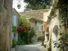 Oppède-le-Vieux - Callejón en el pueblo con casas adornadas con flores y rosas