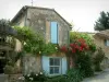 Oppède-le-Vieux - Haus mit blauen Fensterläden, geschmückt mit Blumen, Rosensträucher