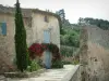 Oppède-le-Vieux - Mauer aus Stein, Bäume und Haus mit blauen Fensterläden, geschmückt mit Blumen