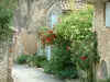 Oppède-le-Vieux - Callejón en el pueblo con casas decoradas con flores, plantas y rosas