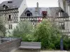 Orléans - Banc, arbustes et maisons à colombages