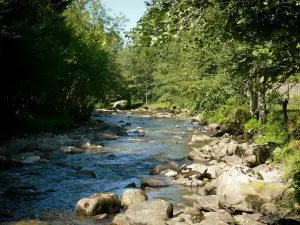 Orlu-Tal - Tal des Oriège: Fluss Oriège gesäumt von Felsen und Bäumen