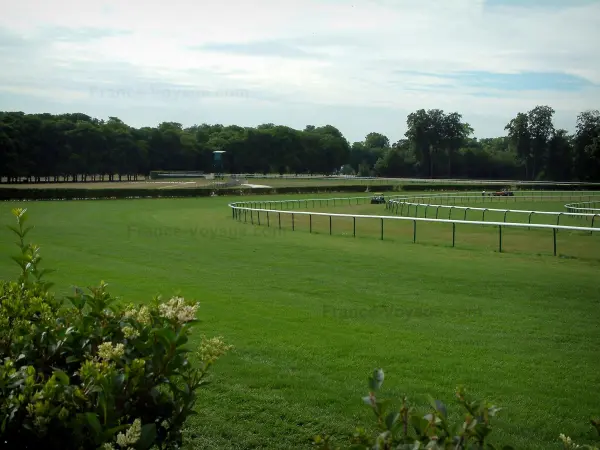 Paardensport - Hippodrome (renbaan) van Chantilly, bomen op de achtergrond