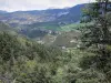 Paesaggi delle Alpi dell'Alta Provenza - Gli alberi in primo piano con vista sulle montagne