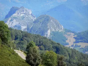 Paesaggi dell'Ariège - Mostra dei Pirenei