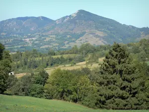 Paesaggi dell'Ariège - Colline alberate, prati e campi