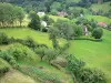 Paesaggi del Cantal - Parco Naturale Regionale dei Vulcani d'Alvernia: case Tournemire immersa nel verde